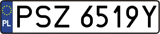 PSZ6519Y