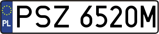 PSZ6520M