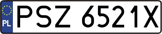 PSZ6521X