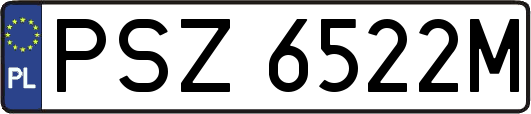PSZ6522M