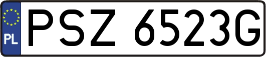 PSZ6523G