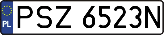 PSZ6523N