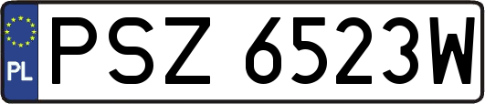 PSZ6523W
