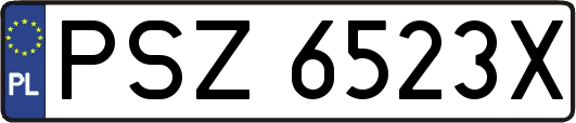 PSZ6523X