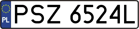 PSZ6524L