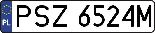 PSZ6524M