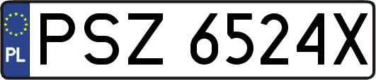 PSZ6524X