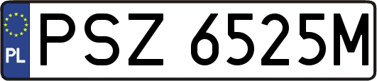 PSZ6525M