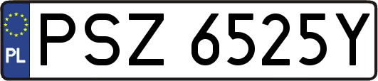 PSZ6525Y