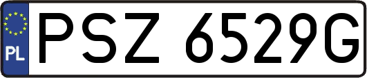 PSZ6529G