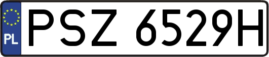 PSZ6529H