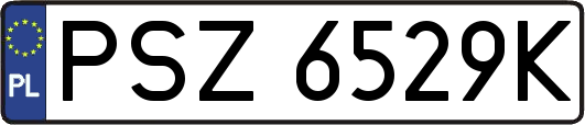 PSZ6529K
