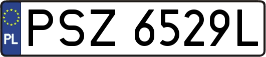 PSZ6529L
