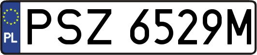 PSZ6529M