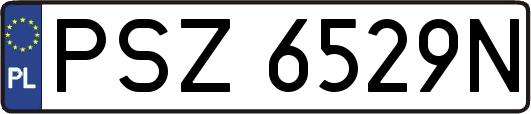 PSZ6529N