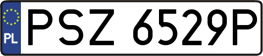 PSZ6529P