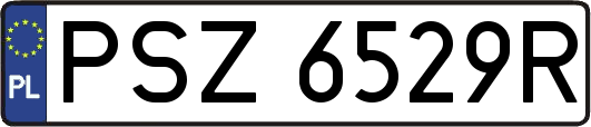 PSZ6529R