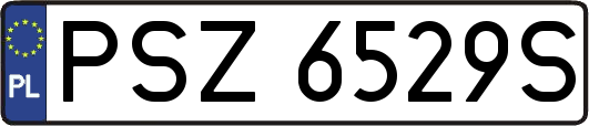 PSZ6529S