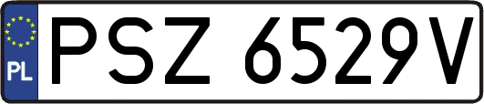 PSZ6529V