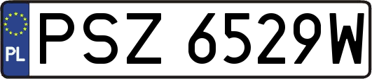 PSZ6529W