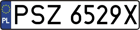 PSZ6529X