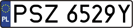 PSZ6529Y