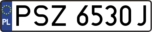 PSZ6530J
