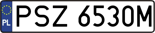 PSZ6530M