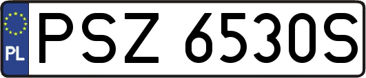 PSZ6530S