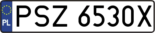PSZ6530X