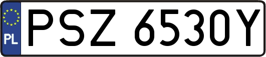 PSZ6530Y