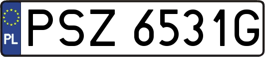 PSZ6531G