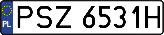 PSZ6531H