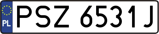 PSZ6531J