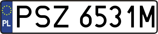 PSZ6531M