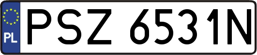 PSZ6531N