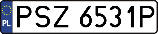 PSZ6531P