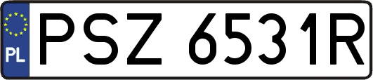 PSZ6531R
