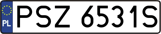 PSZ6531S