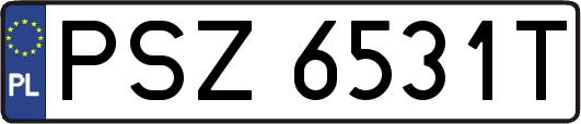 PSZ6531T