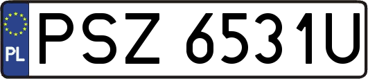 PSZ6531U
