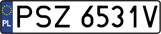 PSZ6531V
