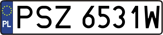 PSZ6531W