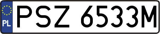 PSZ6533M