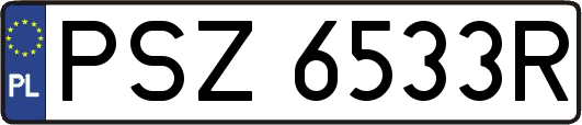 PSZ6533R