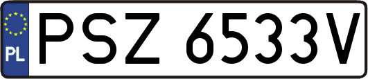 PSZ6533V