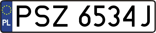 PSZ6534J