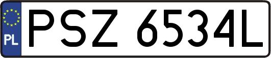 PSZ6534L