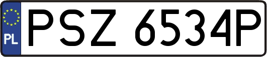 PSZ6534P