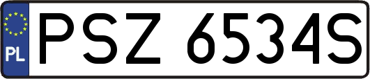 PSZ6534S